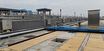 �¶��Ƽ��|�I����̿�����Ŀ�͑��F(xi��n)��