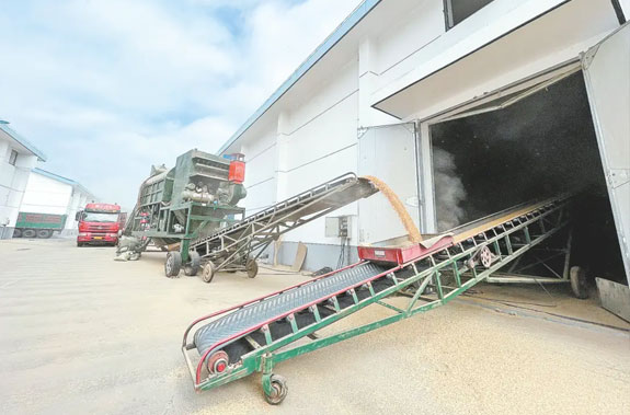 智慧糧庫(kù)自動(dòng)化輸送設(shè)備